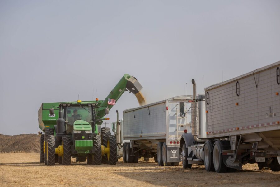 Best Practices for Storing Grain